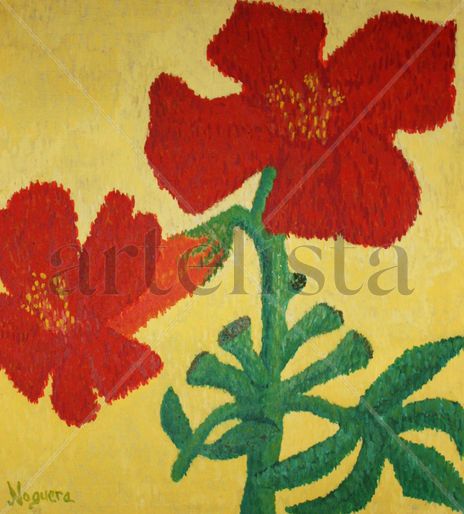 Flors a l´eliana