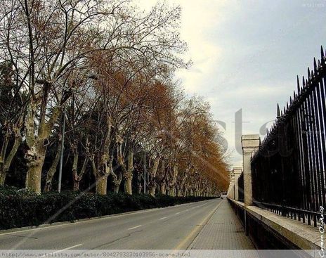 Paseo de los Curas