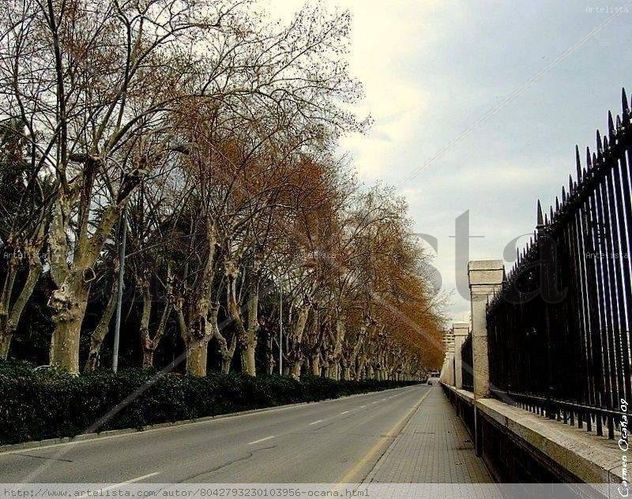 Paseo de los Curas