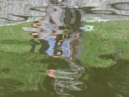 Reflejos en el...