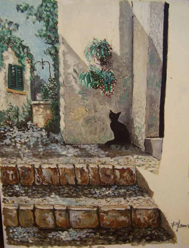 GATO NEGRO