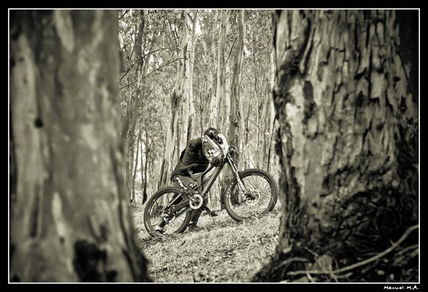 Pure bike...