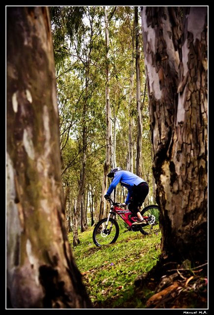 Pure bike...
