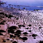 texturas thumbnail 1