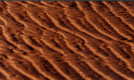 texturas