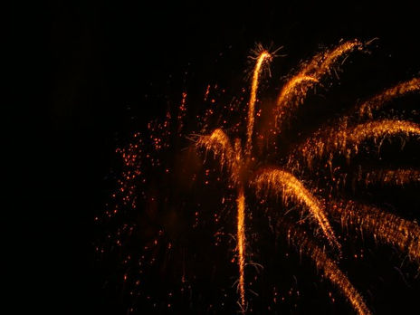 Ave fenix