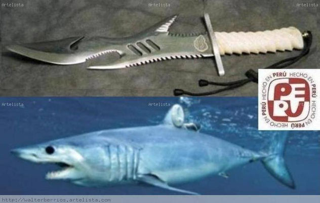 ISURUS HASTELIS-el tiburon mako gigante(Fosil)