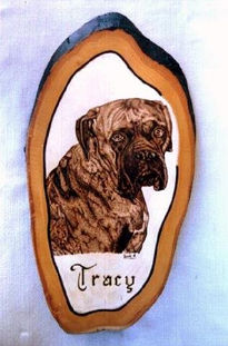 Tracy