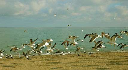 Vuelo 2