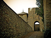 Alcazaba de Malaga