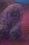 Madre Detalle 1