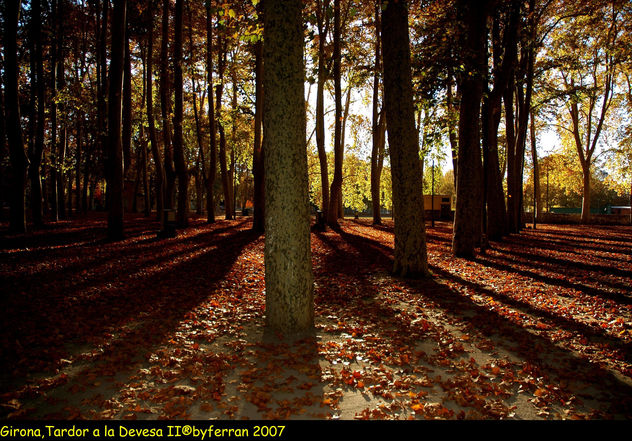Otoño en el Parque de la Devesa (Girona)
