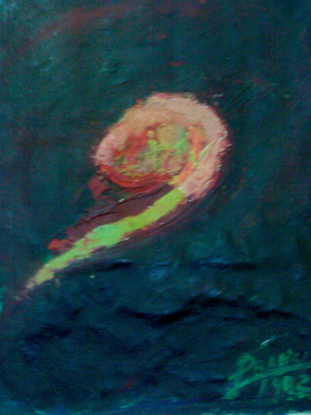 LA ROSA COSMICA