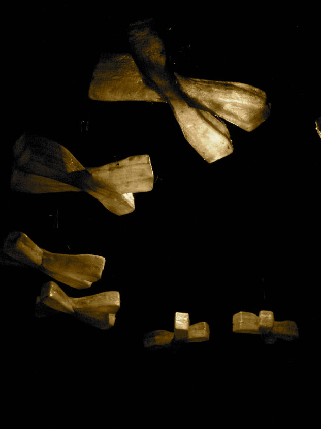 Foto instalación - Cromosomi 5