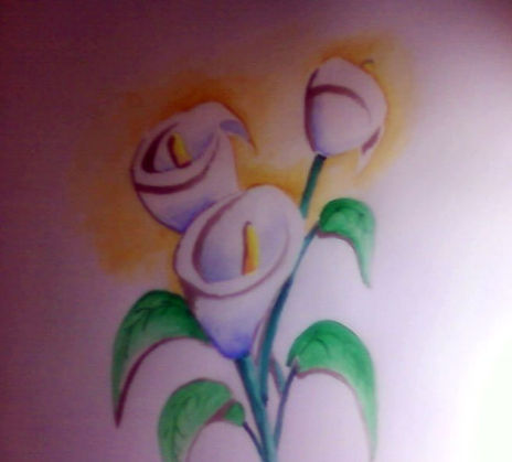 Calas