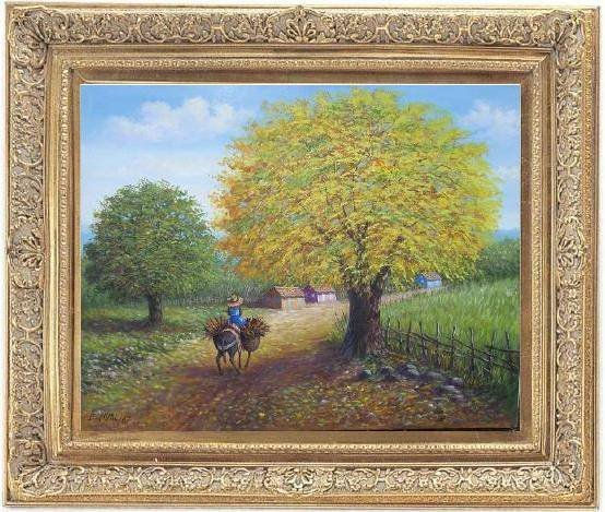 framboyan amarillo 2