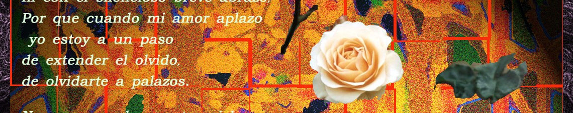 Imagen de portada