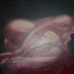 DESNUDOS thumbnail 2