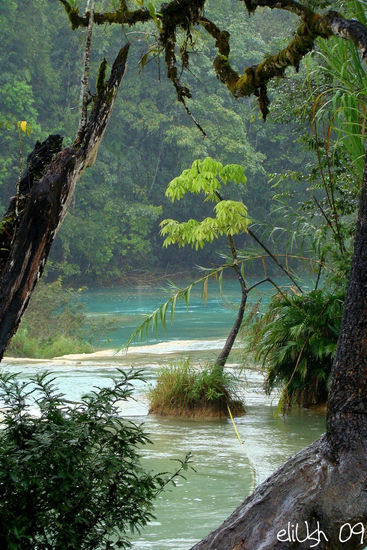 Agua Azul Nature Color (Digital)