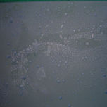 ASTRACTOS thumbnail 2