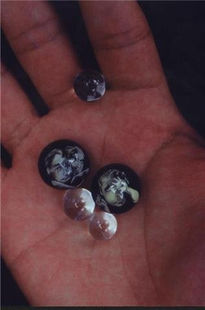 Colección del artista