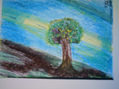 Raices y luz