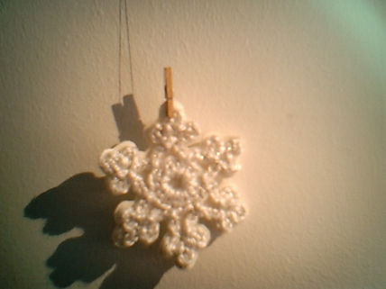 Flor de invierno