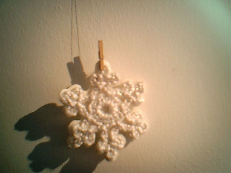 Flor de invierno
