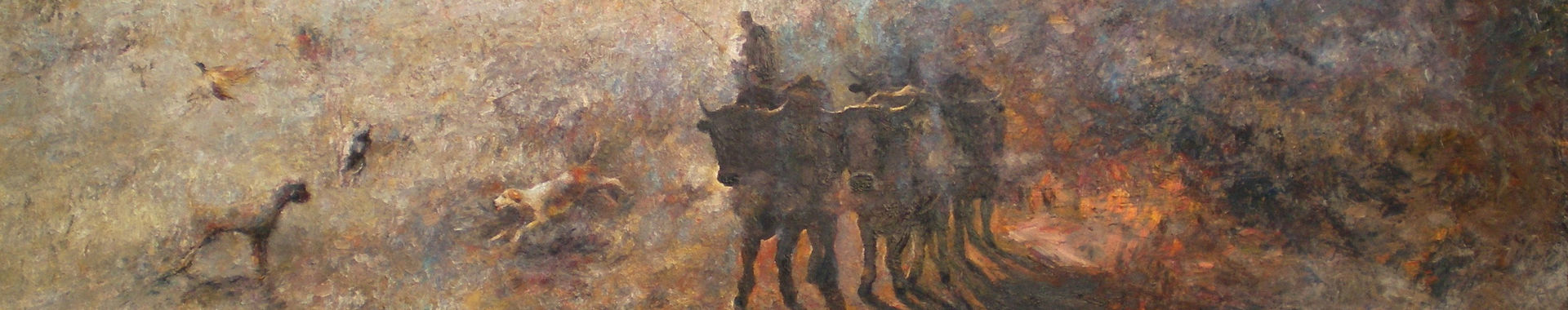 Imagen de portada