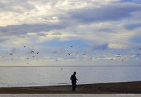 Entre Gaviotas