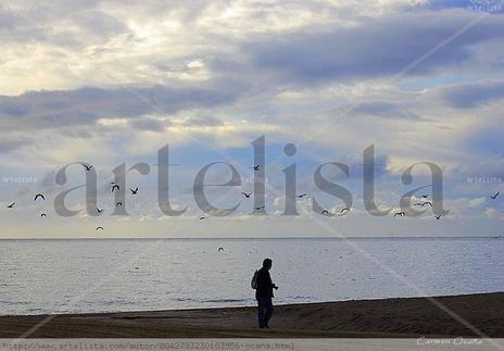 Entre Gaviotas