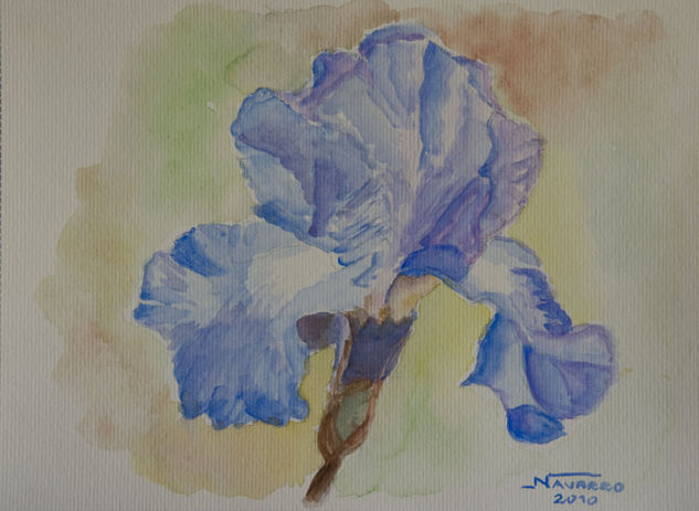 !Lirios ll" Watercolour Paper Floral Painting