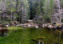 Aigües Tortes, remanso