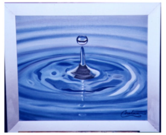 Gota