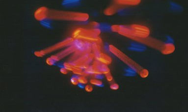 Luces I