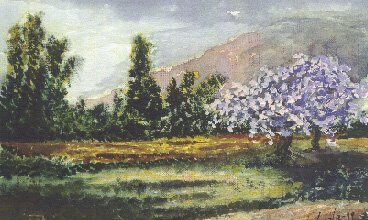 Acuarela