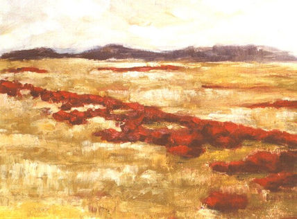 Campos de Aragón...
