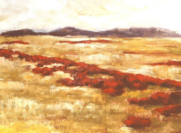 Campos de Aragón (Monegros)