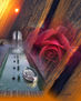 embarcadero de pasion