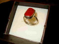 Anillo10