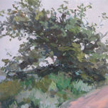 ... 2012 thumbnail 2