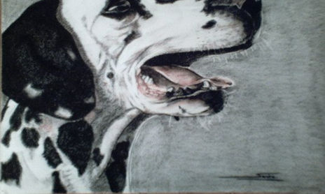 Carboncillo