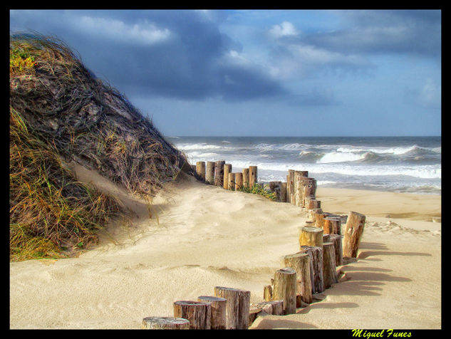 Costa Nova, Portugal Naturaleza Color (Digital)