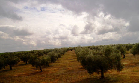 Nubes y territorio