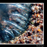 Mares thumbnail 1