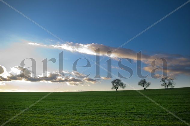 horizonte