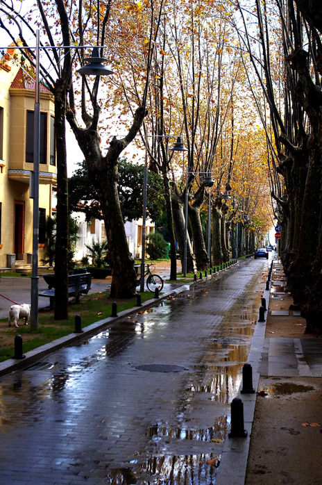 Lluvioso otoño