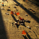 otoño thumbnail 1