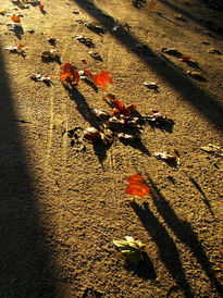 Viento de otoño