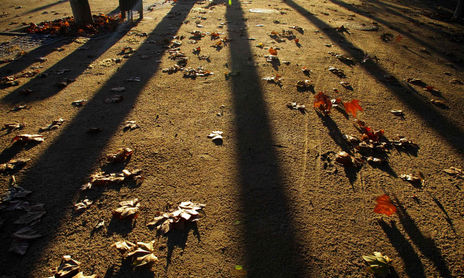 otoño